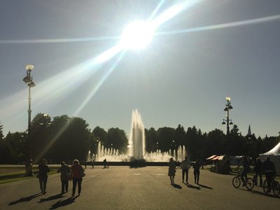 Любовный скотч photo