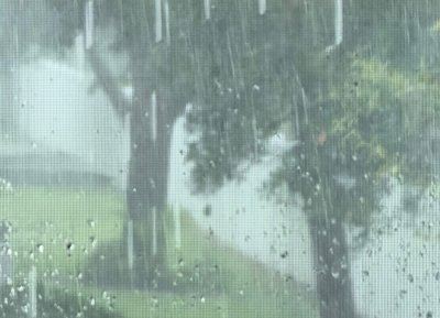 Falling Rain