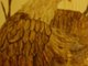 Eagle-Woodburning: by Me.