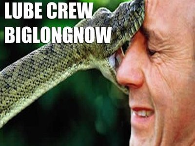 Songs For Snakes photo
