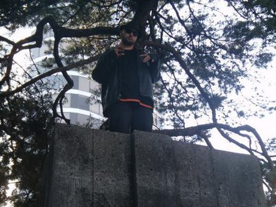 Krazy K 503 photo