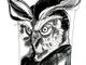 OWL!