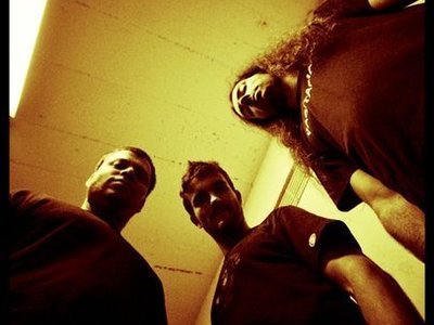The Antic Groove photo