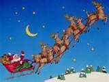 8 Reindeer