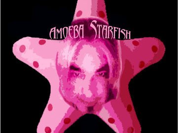 AMOEBA STARFISH photo