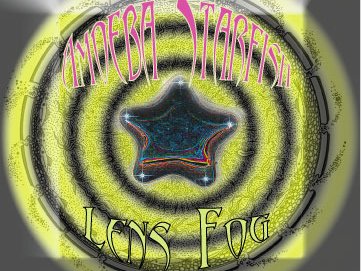 AMOEBA STARFISH photo