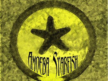 AMOEBA STARFISH photo