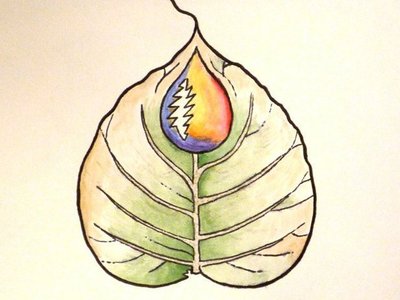 Bodhi Drip photo