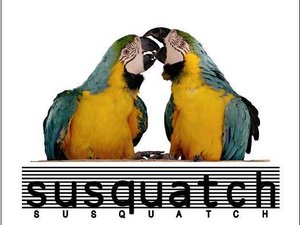Susquatch | ReverbNation