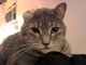 Vinnie (Loves Da TBone Mojo Band.....)