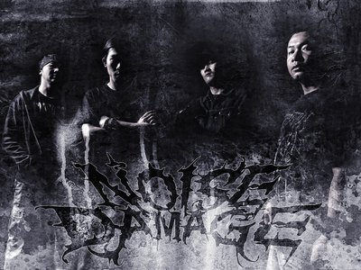 Noise Damage