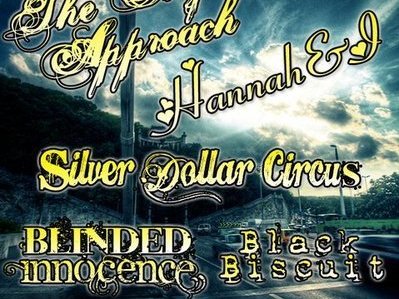 Black Biscuit photo