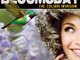 Bloomsday - The Colibri Invasion