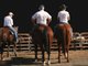 Oil "Team Penning"