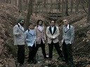 Silver Dollar photo