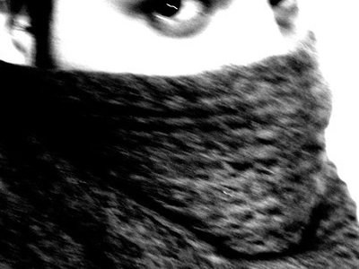 Just Visiting photo