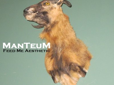 "Feed Me Aesthetic" Album Cover