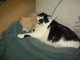 MY BABYS, TANNER AN OREO