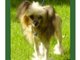 My Sasha!