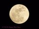 Full Moon April 2008