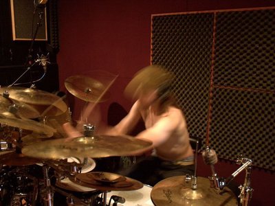 FERRET PERCUSSION photo