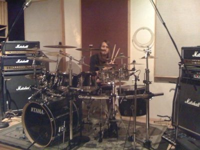 FERRET PERCUSSION photo
