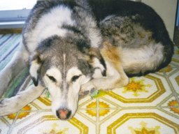 Chance. Miss you buddy!
