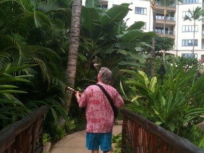 Wandering
