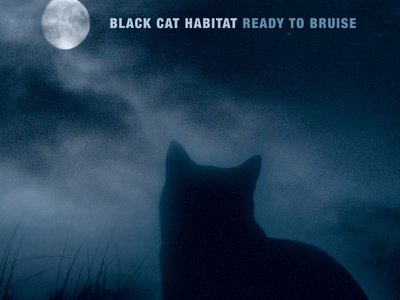 Ready to Bruise EP released February 2011