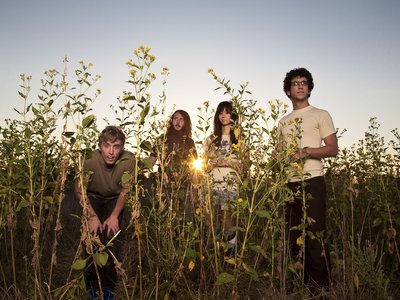 Sugar Glyder (2011)