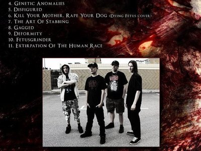Decomposition & Decay back!