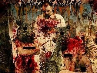 Unleashing the Shemales ALBUM