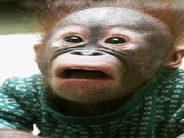 Special Edward's Friend, DJ Monkey