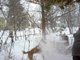 Snow Day