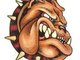  BULLDOG!!!!!