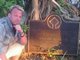 In The Glades