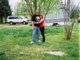 ~DAWN & TROY~