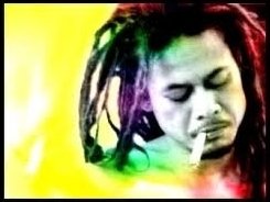 Manteman Tony Q Rastafara [SOLO] photo