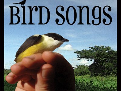 Bird Songs