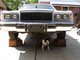 my dog under the car lol
