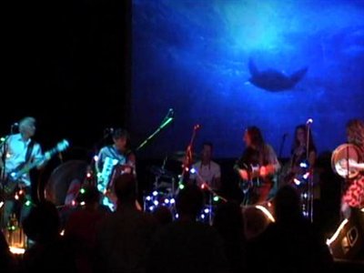 live at Cheese and Grain, Uk 2010