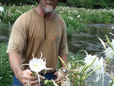 Kudzu Kountry/Roger Vines photo