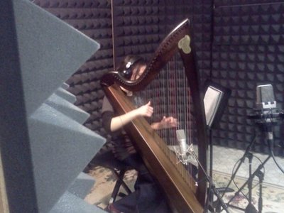 Tracy recording harp on "Brisk Snowfall"