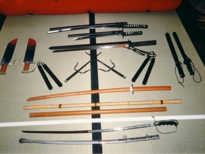 DICARLO collection of Martial Arts Weapons