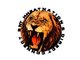 THE OFFICIAL LOGO FOR HHEAT & DIRECT CONNECT: L.I.O.N UNIVERCITY