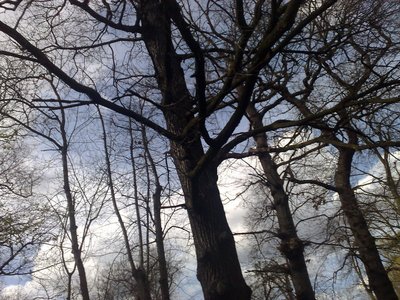 Park