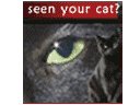 seen your cat