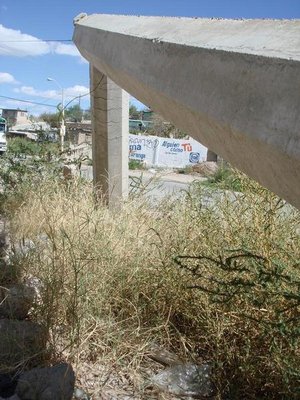 Muekala photo