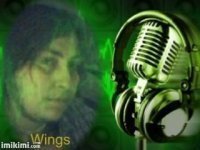 Wingsmagee-My inspirational "partner in sublime"