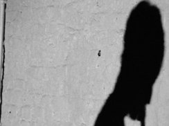 Lazarus Syndrome photo